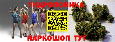 прущие грибы Камышлов
