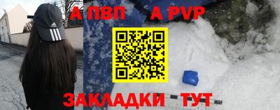 прущие грибы Камышлов