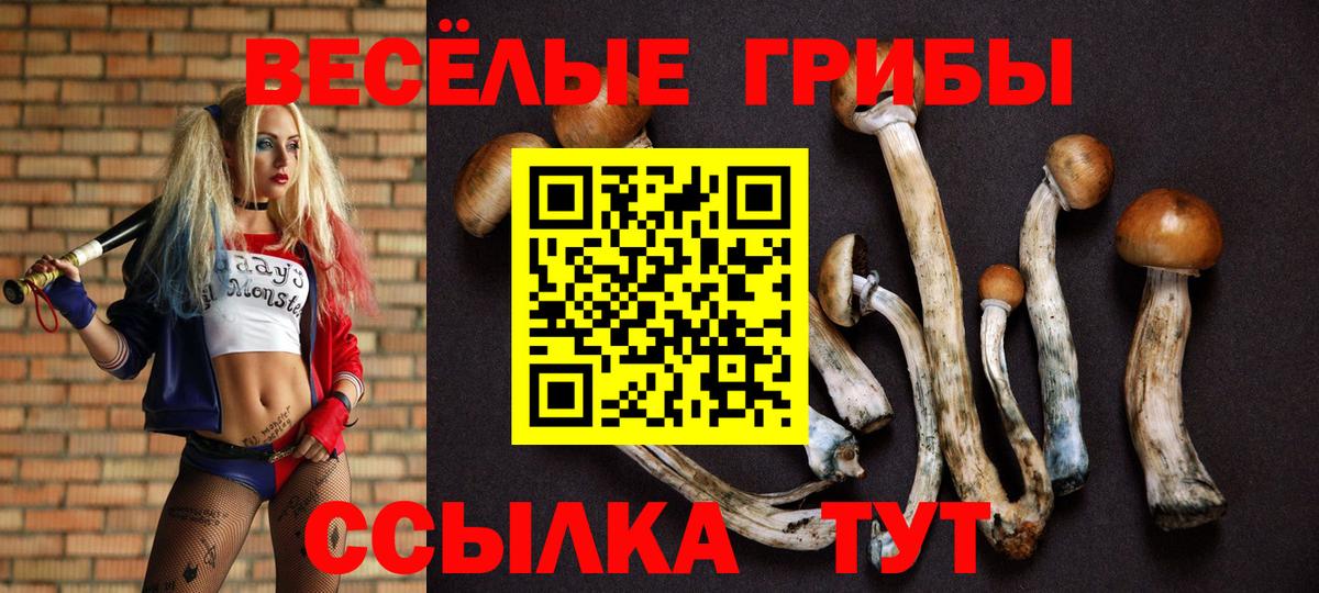 Псилоцибиновые грибы Psilocybine cubensis Лангепас